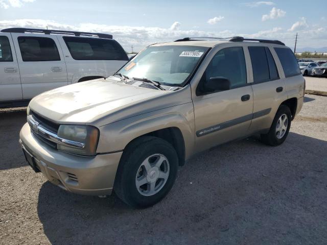 CHEVROLET TRAILBLAZE 2004 tan  gas 1GNDT13S442292345 photo #1