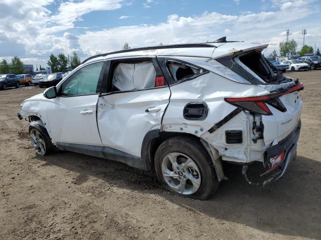 Vin: km8jccde0ru313599, lot: 57690975, hyundai tucson sel 20242