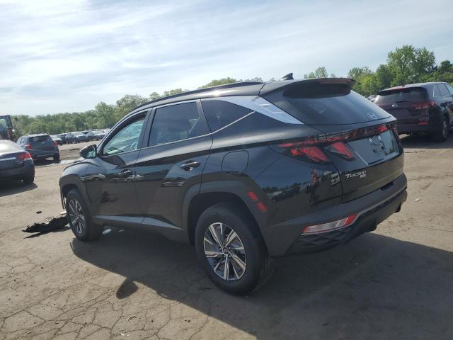 2024 HYUNDAI TUCSON BLU KM8JBCD19RU191454