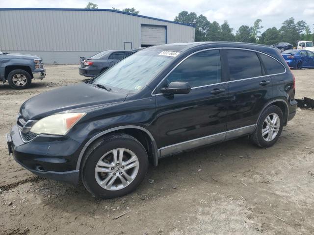 Vin: 5j6re4h72al023985, lot: 56037805, honda crv exl 2010 img_1