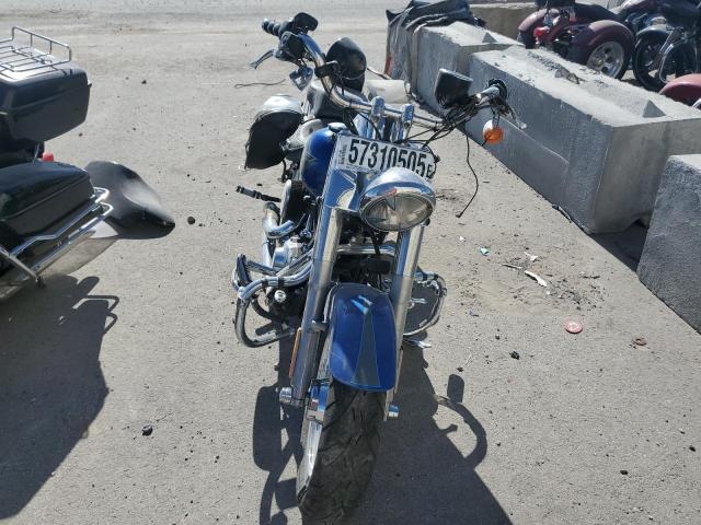 2009 HARLEY-DAVIDSON FLSTF 1HD1BX5149Y060675