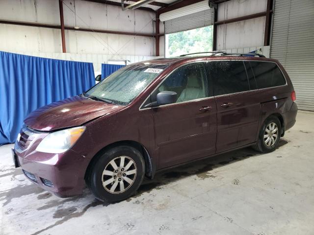Vin: 5fnrl3h75ab021009, lot: 58164925, honda all models exl 2010 img_1