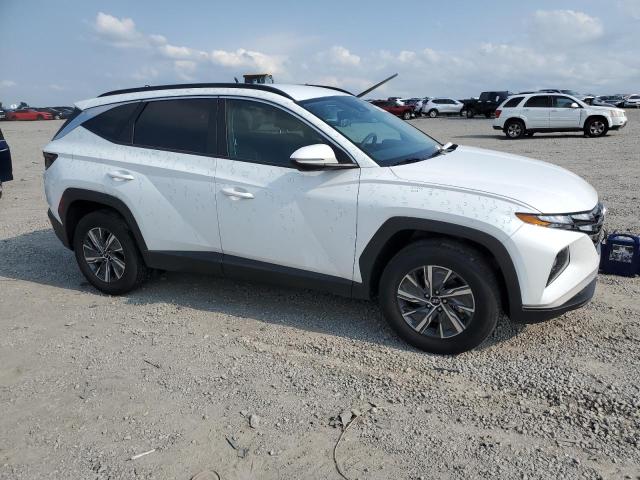 Vin: km8jbca10pu128714, lot: 56591965, hyundai tucson blue 20234