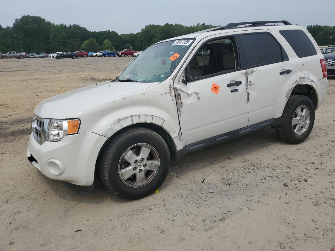 FORD ESCAPE XLT