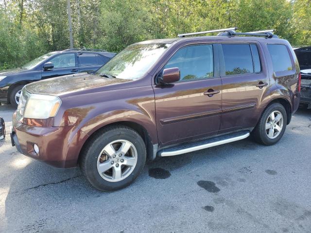 Vin: 5fnyf4h55ab001253, lot: 58954745, honda pilot exl 2010 img_1