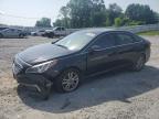 2016 HYUNDAI SONATA ECO - 5NPE24AA8GH434405