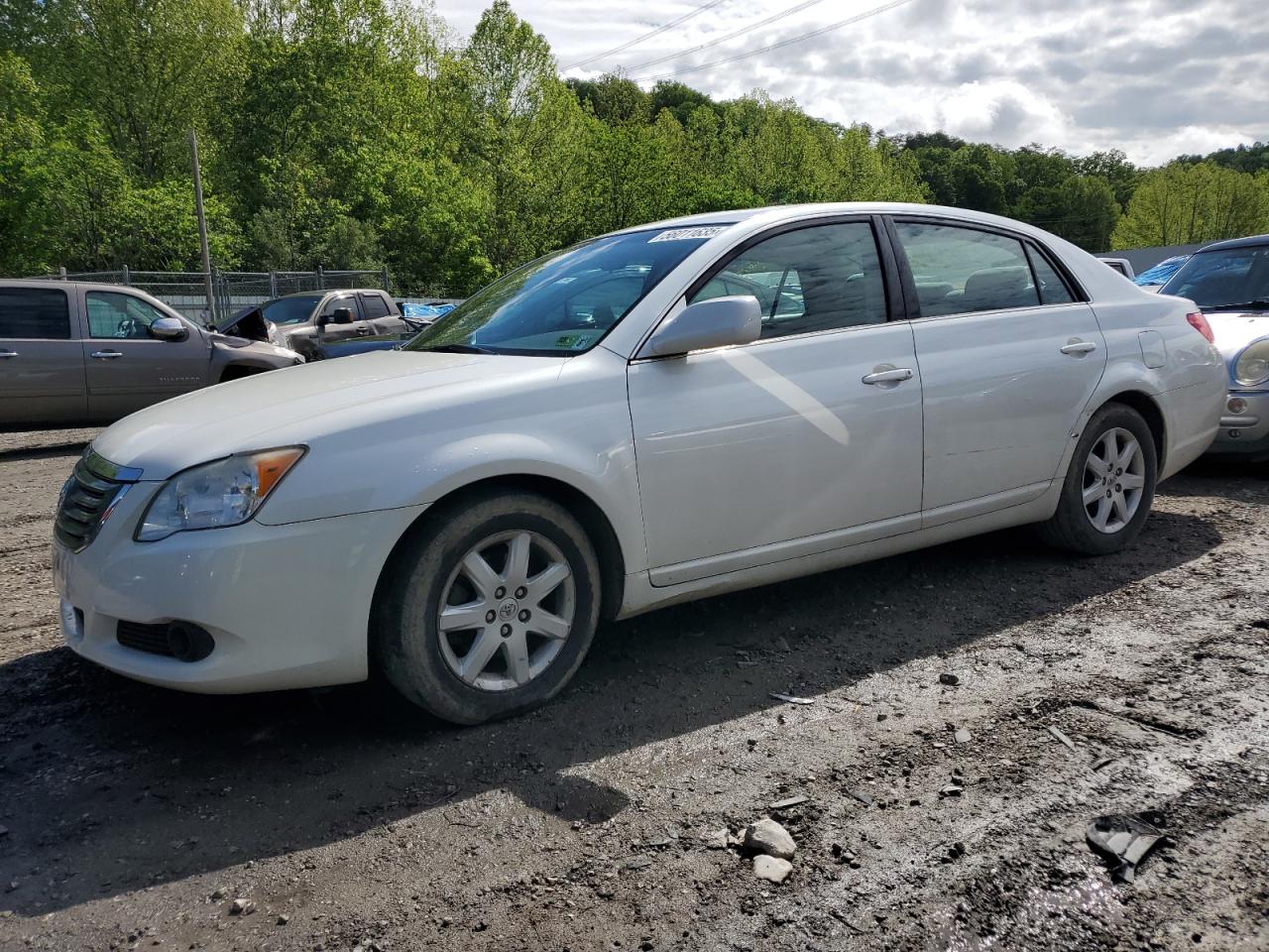TOYOTA AVALON XL