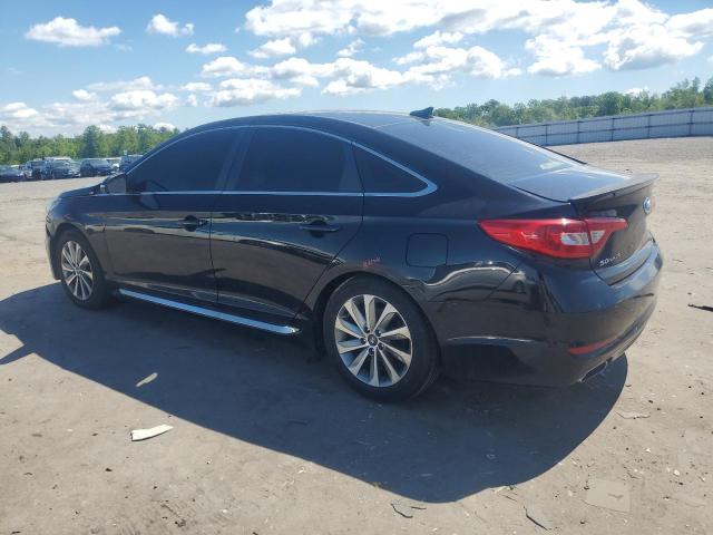 2016 HYUNDAI SONATA SPO 5NPE34AF5GH295536