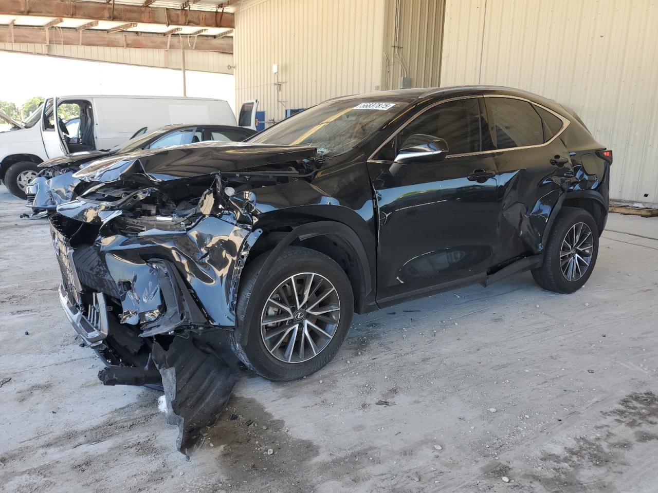 LEXUS NX 250