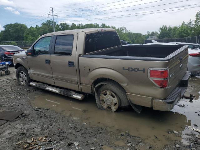 Vin: 1ftfw1et1dfc62680, lot: 58475505, ford f-150 supercrew 20132