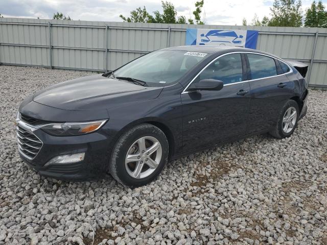 Vin: 1g1zd5stxpf203753, lot: 58495785, chevrolet malibu lt 2023 img_1