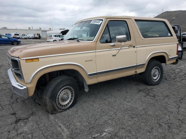 Vin: 1fmeu15f2ela67214, lot: 55884445, ford bronco u100 1984 img_1