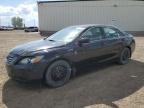 Top Destinations for Shipping Cars from the USA
