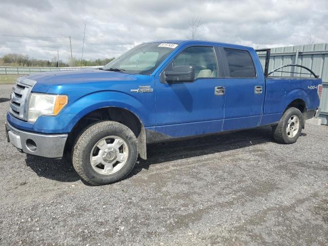 Vin: 1ftfw1ev3afd13951, lot: 56197935, ford f-150 supercrew 2010 img_1