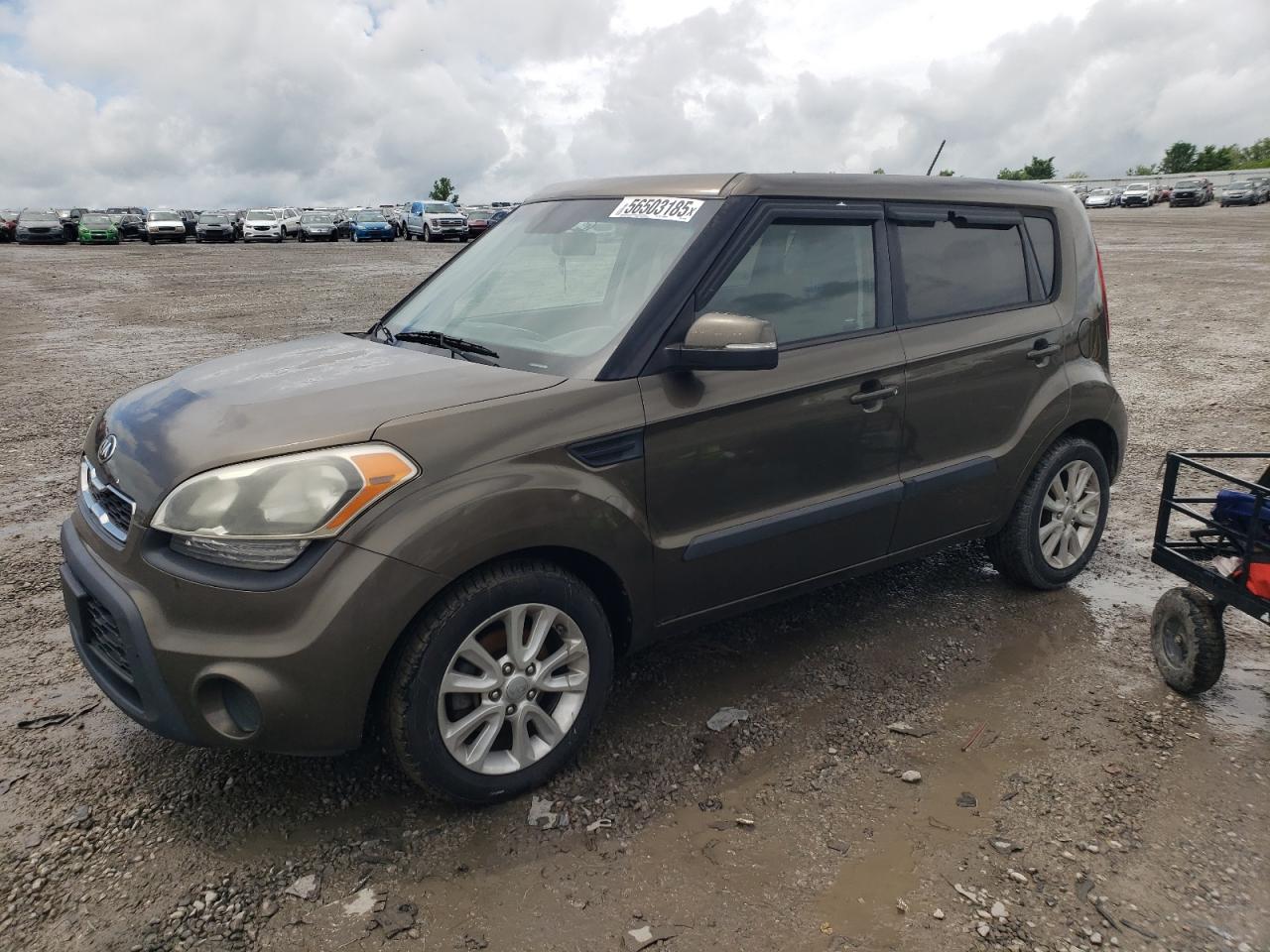 KIA SOUL +