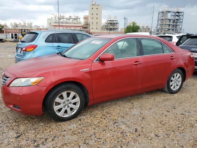 TOYOTA CAMRY HYBR