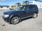 Top Destinations for Shipping Cars from the USA