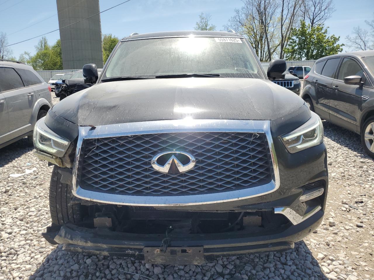 INFINITI QX80 2019
