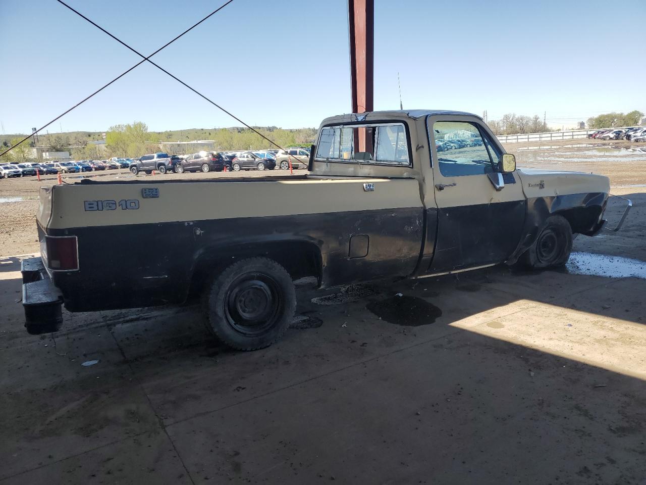 Lot #3207444157 1979 CHEVROLET C10
