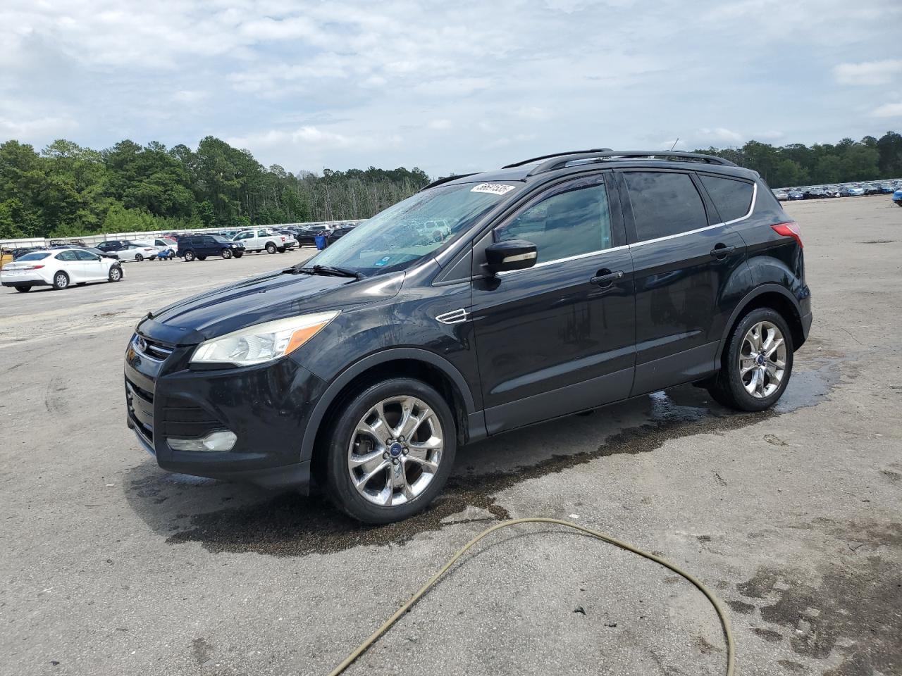 FORD ESCAPE SEL