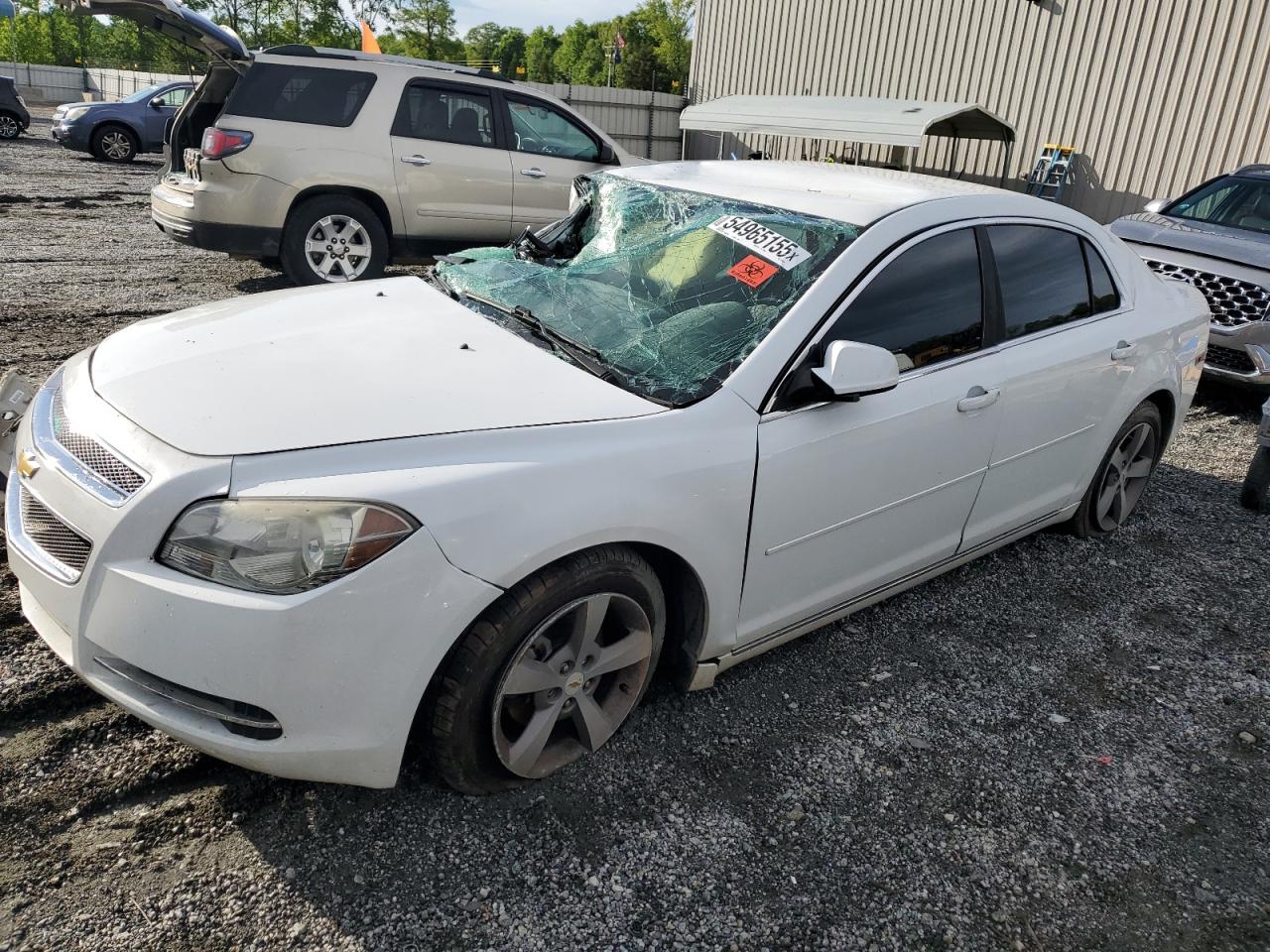 CHEVROLET MALIBU 1LT