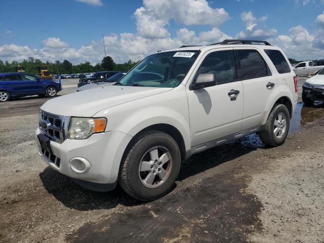 FORD ESCAPE XLT