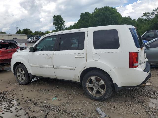 Vin: 5fnyf4h42db081283, lot: 56951415, honda pilot ex 20132