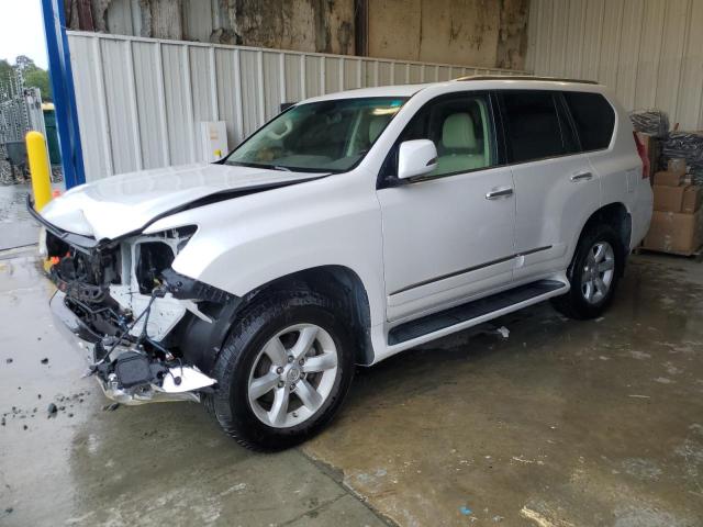LEXUS GX 460