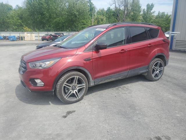 Vin: 1fmcu9h95kuc39723, lot: 58486075, ford escape sel 2019 img_1