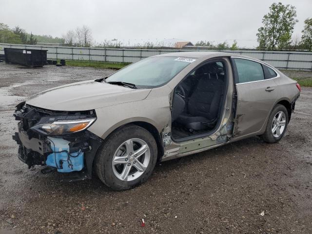 Vin: 1g1zb5st7rf135792, lot: 58082755, chevrolet malibu ls 2024 img_1
