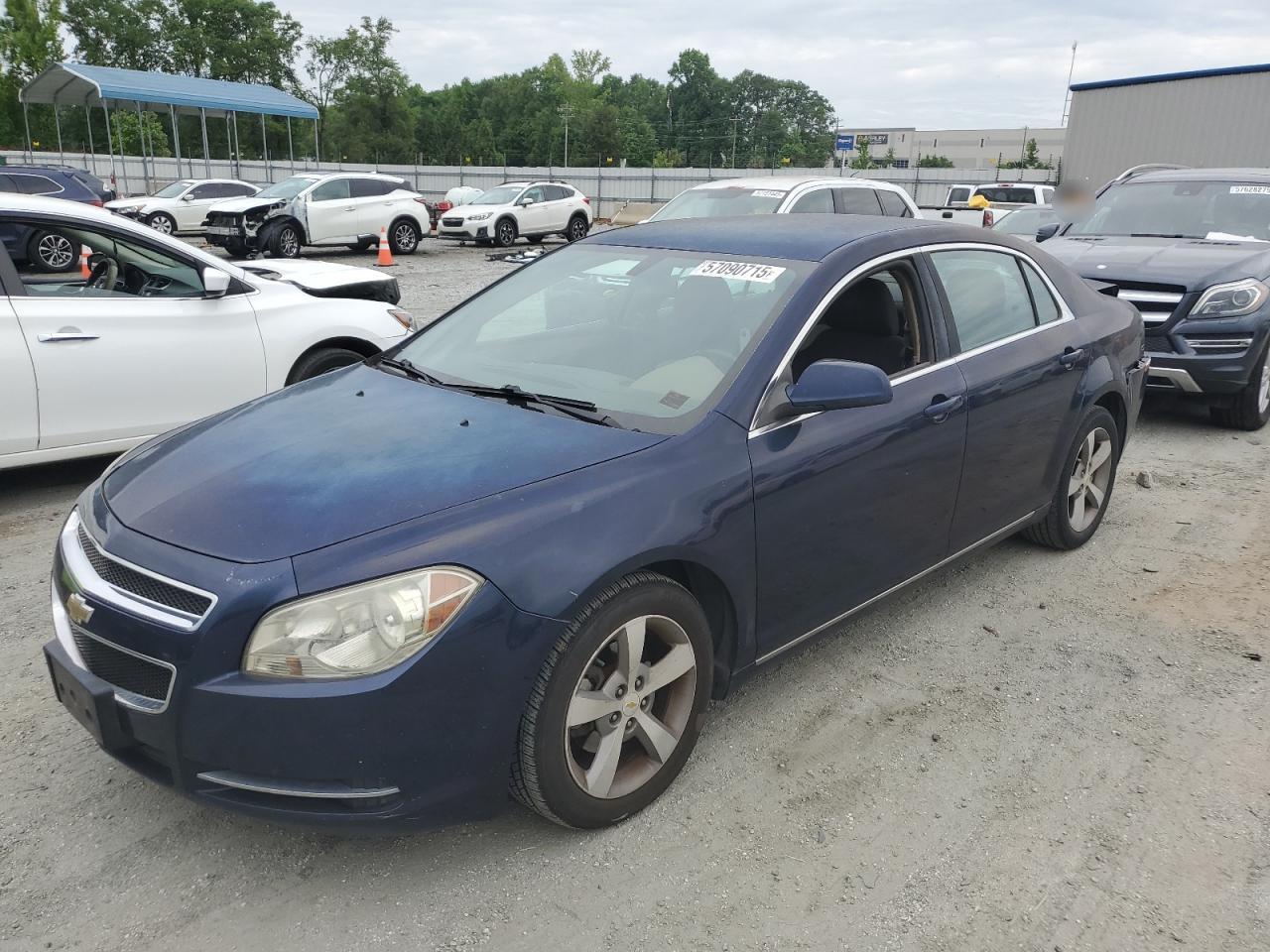 CHEVROLET MALIBU 1LT