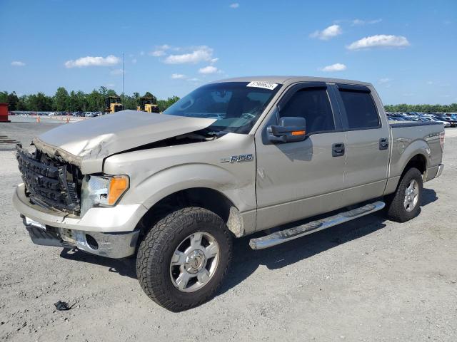 Vin: 1ftfw1ev7afb20105, lot: 57966625, ford f-150 supercrew 2010 img_1