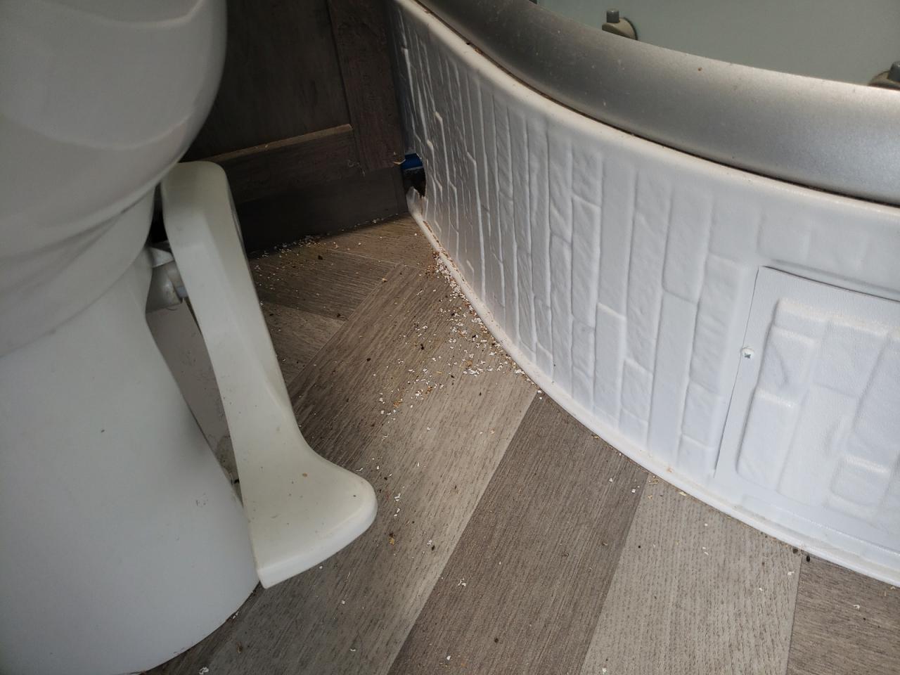 Lot #3285720690 2020 SALEEN TRAV TRAIL