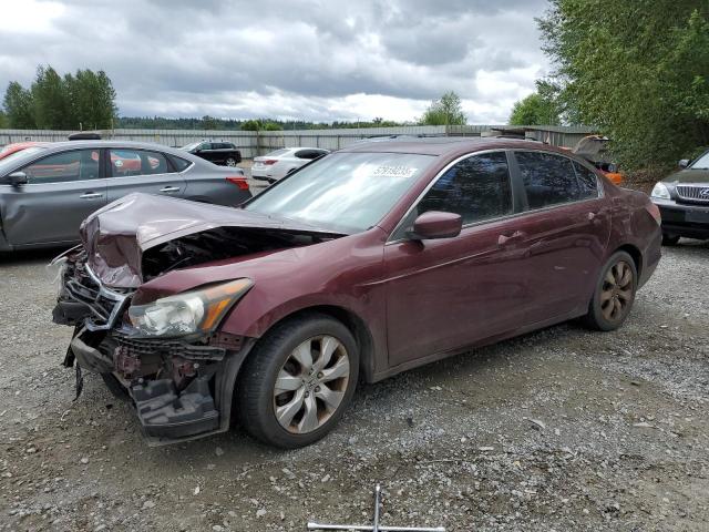 HONDA ACCORD EXL 2010 burgundy  gas 1HGCP2F89AA111029 photo #1
