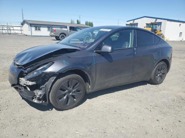 Vin: 7saygdedxrf103445, lot: 55844485, tesla model y 2024 img_1