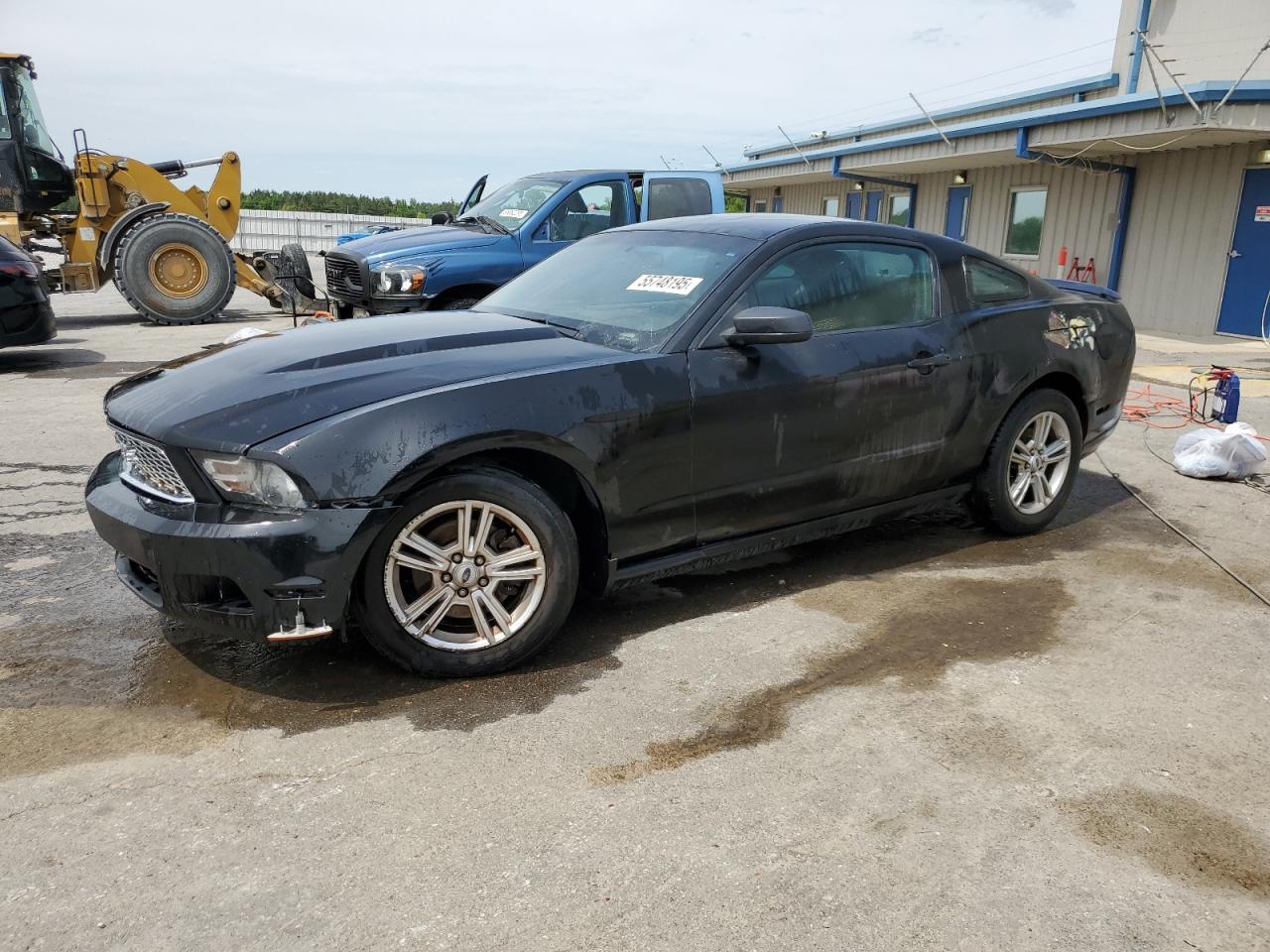 FORD MUSTANG