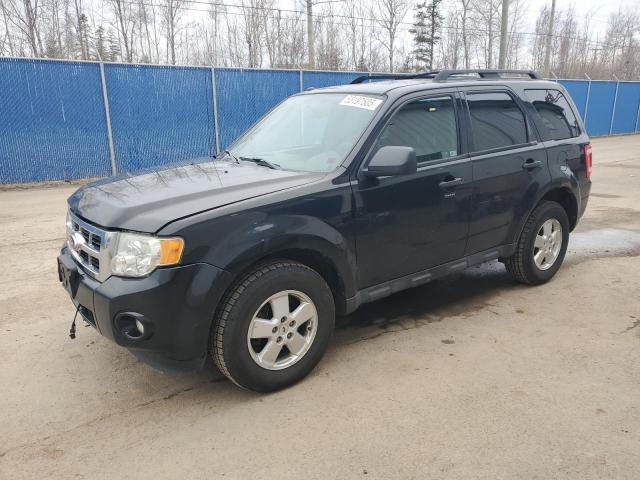 FORD ESCAPE XLT