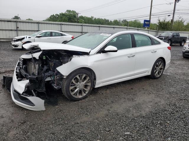 Vin: 5npe34ab8fh253096, lot: 56954075, hyundai sonata sport 2015 img_1