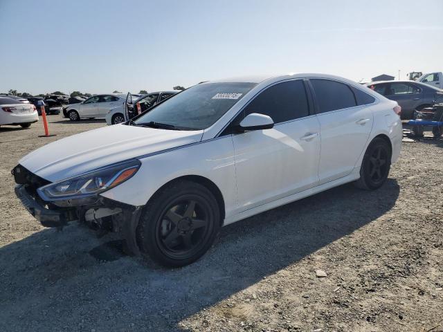 Vin: 5npe24af5kh817481, lot: 55320215, hyundai sonata se 2019 img_1
