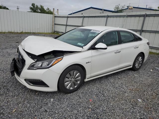 Vin: kmhe24l1xga011227, lot: 56330975, hyundai sonata hybrid 2016 img_1