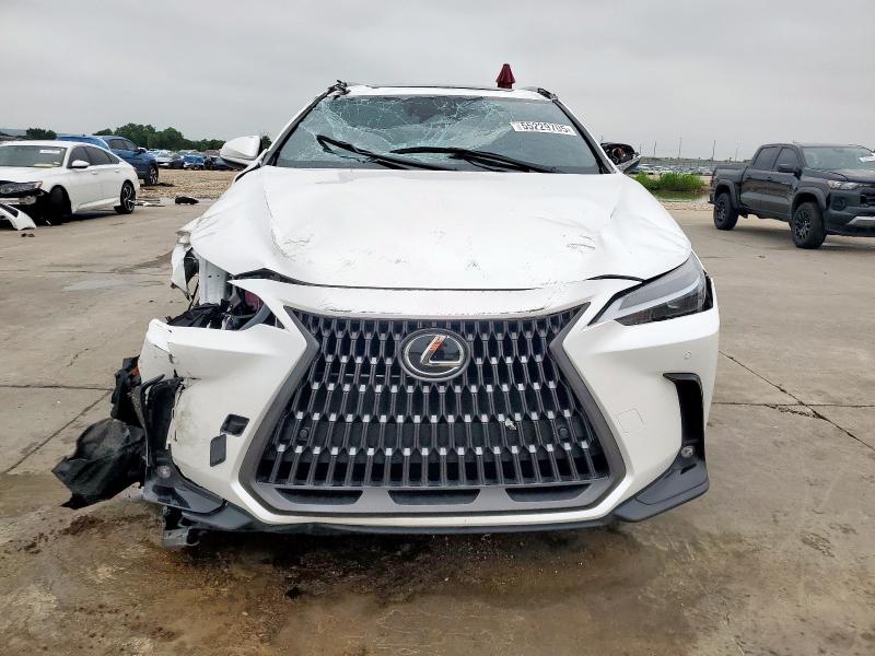 2024 LEXUS NX 250 PRE JTJGDCAZ1R5015072