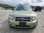 Lot #3301747368 2008 FORD ESCAPE