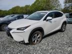 2017 LEXUS NX 300H - JTJBJRBZ8H2054102