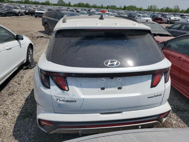 2024 HYUNDAI TUCSON N L - KM8JFCD14RU167213