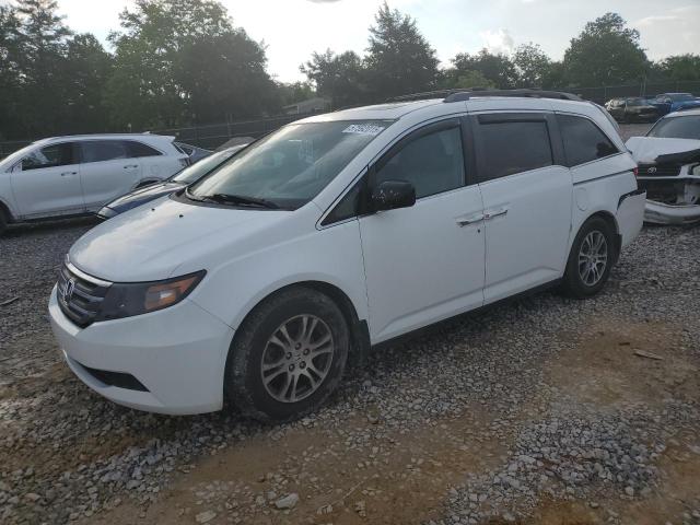 Vin: 5fnrl5h60db029221, lot: 57592015, honda all models exl 2013 img_1