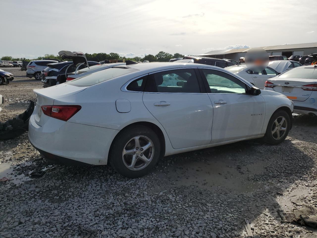 CHEVROLET MALIBU 2017