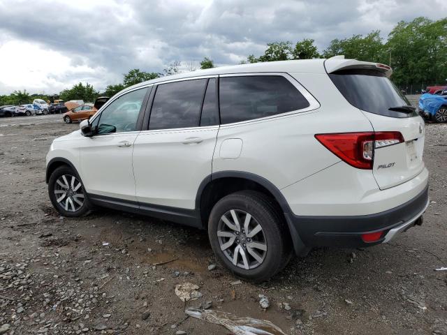 2019 HONDA PILOT EXL 5FNYF6H56KB052872