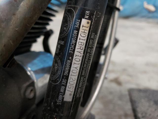 2001 HARLEY-DAVIDSON FLSTS - 1HD1BRY101Y012067
