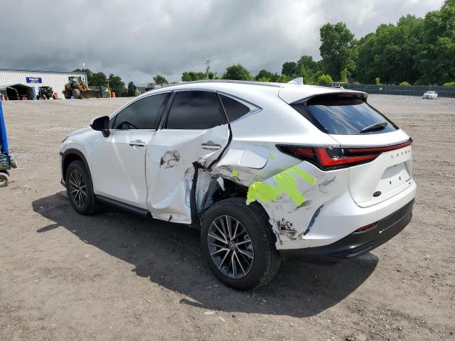 2023 LEXUS NX 350 2T2GGCEZ9PC027938