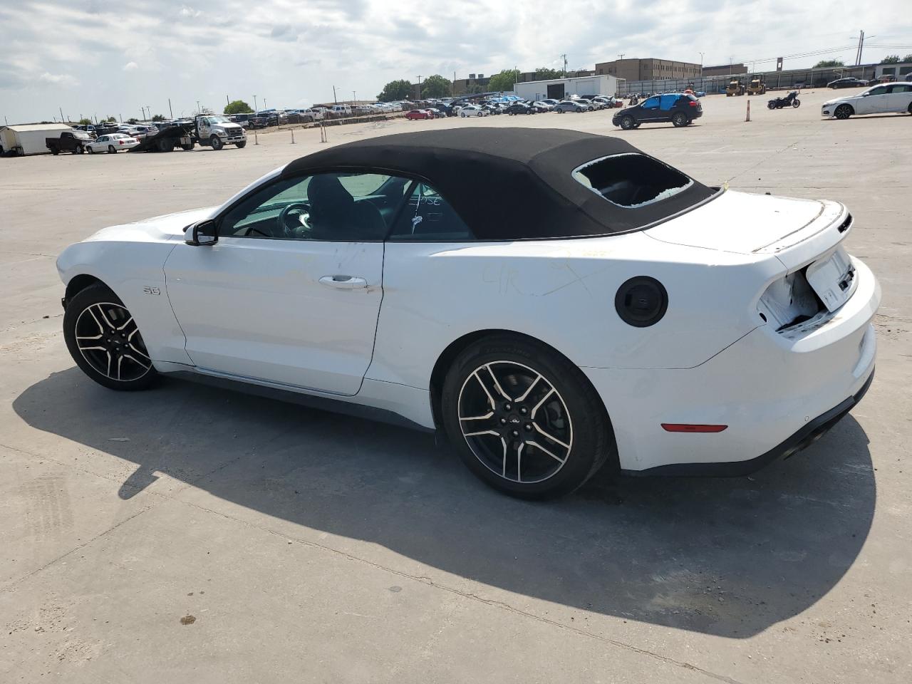 1FATP8FF1K5162184 FORD MUSTANG 2019